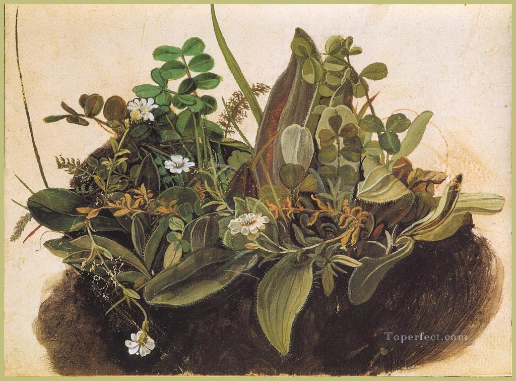 The tuft of grass MINOR Albrecht Durer Oil Paintings